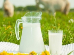 Школьники Новой Каховки будут пить молоко по 15 грн за литр