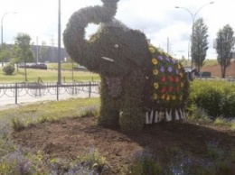 Цветочный "Слоник" появился в столице