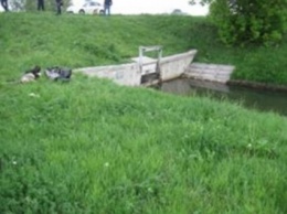 Тело мужчины нашли в оросительном канале в Киевской области