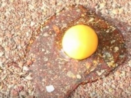 Ролик о необычном способе жарки яичницы в Австралии набрал миллион просмотров