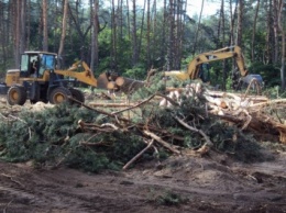 Суд арестовал скандальный участок в Буче, изъятый из земель лесного фонда