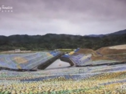 В Тайване из пластиковых бутылок воссоздали картину Ван Гога (ВИДЕО)