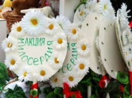 В Ялте пройдет День благотворительности и милосерия "Белый цветок"