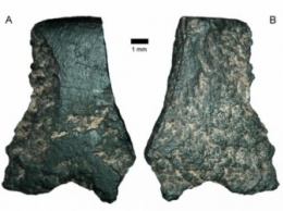 Самый древний топор нашли ученые-археологи в Австралии