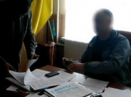 Известного "оппозиционера" из Одесской области уличили в коррупции
