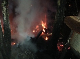В одном из сел Веселиновского района спасатели ликвидировали пожар хозпостройки
