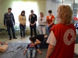 В Красноармейске (Покровске) стартовала интенсивная обучающая программа для волонтеров Донецкой области