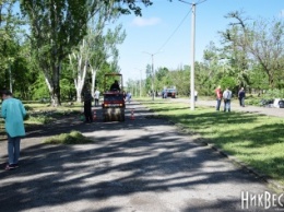Порошенко может стать первым, кто высадит дерево на Аллее Героев в Николаеве