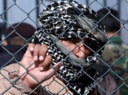 Сирийца с российским паспортом задержали пограничники возле границы с Польшей