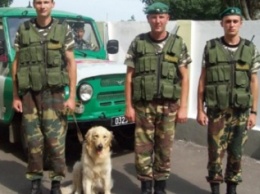 В Бердянске пограничники провели патриотический праздник