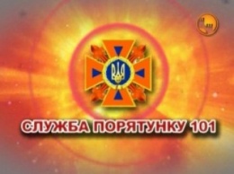 Искал грибы - нашел артснаряд: в Николаевской области земля продолжает «отдавать» взрывоопасные предметы прошлых войн