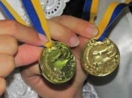 В Кременчуге 83 золотых медалиста и 12 - серебряных