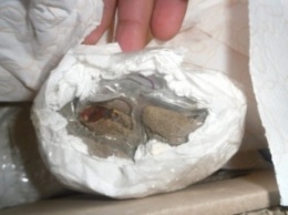 СБУ на границе Сумщины выявила контрабанду янтаря (ФОТО)