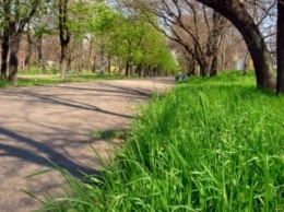 Безопасность в парках Николаева будет охранять велопатруль. Нужны велосипеды