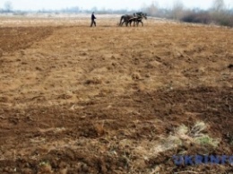 Полиция открыла дело за "земельные войны" АТОшников