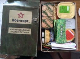Диверсанта, который готовил теракты в Северодонецке, приговорили к 9 годам тюрьмы