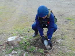 С начала года пиротехники обезвредили 18 тыс. взрывоопасных предметов (фото)