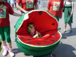 Парад детских колясок состоится в Кировоградской области