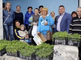 Неизвестный предприниматель передал жителям Попаснянского района 30 тысяч саженцев