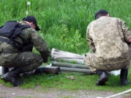 В лесу под Харьковом нашли 5 гранатометов (фото, видео)