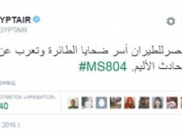 Минобороны Египта нашли настоящие обломки A320