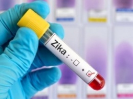 Вирус Зика уже в Африке, в Европе появится через несколько месяцев - ВОЗ