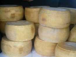 Около тонны сыра изъято на Закарпатской таможни