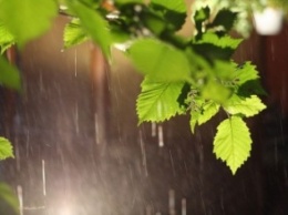 Крымчан в начале недели ожидают дожди и грозы