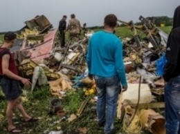 Катастрофа MH17: адвокат семей погибших назвал главного убийцу