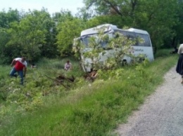На трассе «Симферополь - Харьков» автобус с пассажирами врезался в дерево (ФОТО)