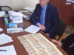 Начальник отдела спорта Одесской ОГА пытался дать взятку своему шефу