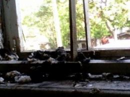 Утро после взрыва на Посмитного: фото сгоревших квартир изнутри (ФОТОРЕПОРТАЖ)