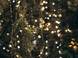 Киев украсили к новогодним праздникам: сверкающие деревья и разноцветные огни