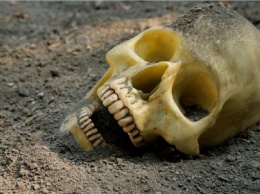 В Винницкой области обнаружили останки пропавшего год назад мужчины