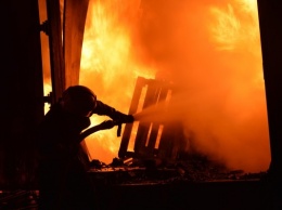 В Киеве масштабный пожар полностью уничтожил продуктовый магазин