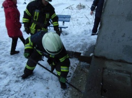В Рубежном спасатели вытащили щенка, застрявшего под плитой