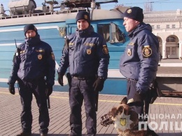 На время военного положения блокпосты в Одессе усилили кинологами с собаками. Фото