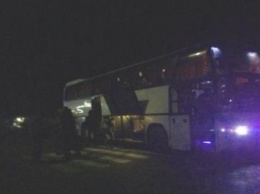 В Николаевской области на автотрассе рейсовый автобус сбил женщину