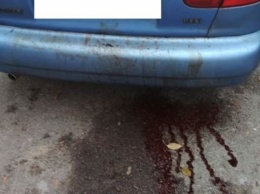 Из автомобиля текла кровь: Запорожцы были шокированы увиденным (ФОТО)