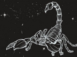 Грубо, но честно: 15 горьких истин о Скорпионах