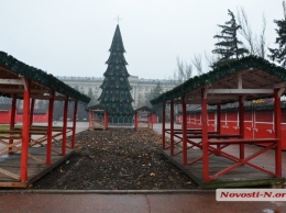 В Николаеве установили главную городскую елку