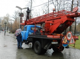 В парке Глобы продолжают устанавливать елку из натуральной хвои