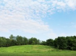 В Николаевской области 165 гектаров лесных земель отдали фермерам как сельхозугодья