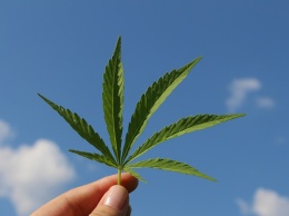 В США разработали лекарство от марихуановой зависимости