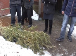 На Николаевщине у жителя пгт обнаружили 1,5 кг наркотиков и гранату