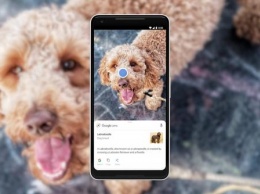 Новая невероятная функция от Google Lens превращает iPhone в энциклопедию