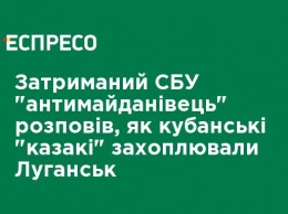 Задержанный СБУ "антимайдановец" рассказал, как кубанские "казаки" захватывали Луганск