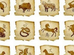 Китайский гороскоп на 2019 год для каждого знака зодиака