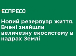 Новый резервуар жизни. Ученые нашли огромную экосистему в недрах Земли