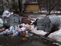В центре Киева не вывозят мусор (фото)